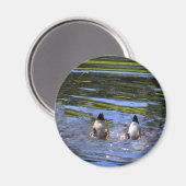 Duck Hinterns Magnet (Vorderseite/Rückseite)