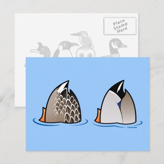 Duck Hinterns Postkarte (Vorne/Hinten)