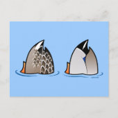 Duck Hinterns Postkarte (Vorderseite)