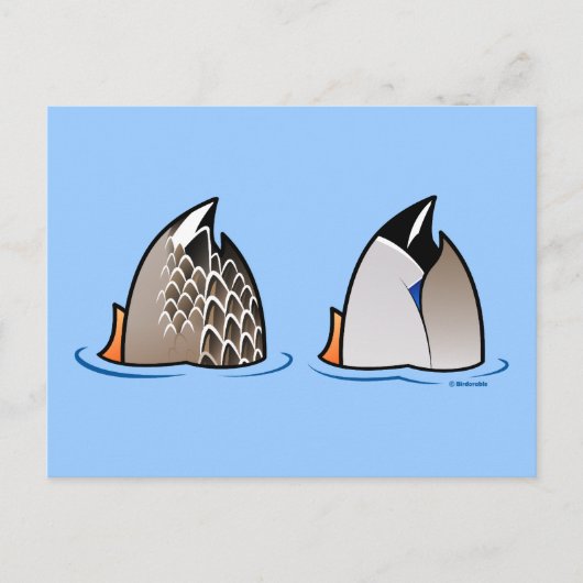Duck Hinterns Postkarte (Vorderseite)