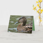 Duck Karte (Gelbe Blume)
