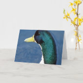 Duck Karte (Gelbe Blume)