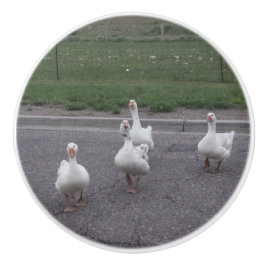 Duck Keramik Knob Keramikknauf