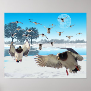 Duck Lake Poster