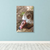 Duck Leinwanddruck (Insitu (Holzboden))