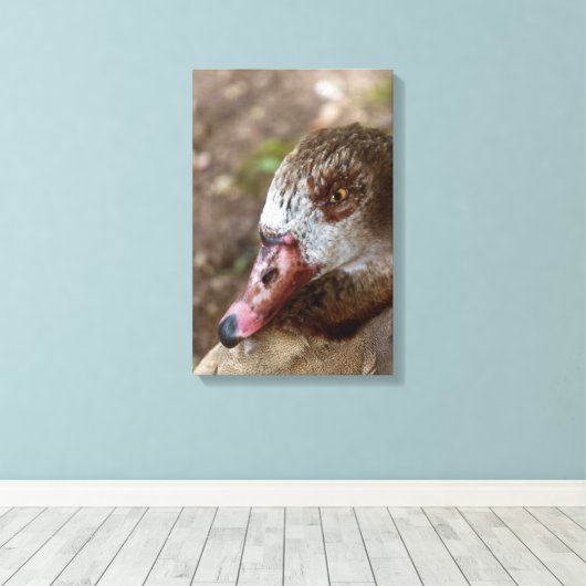 Duck Leinwanddruck (Insitu (Holzboden))