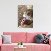 Duck Leinwanddruck (Insitu (Wohnzimmer))