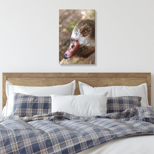 Duck Leinwanddruck (Insitu (Schlafzimmer))