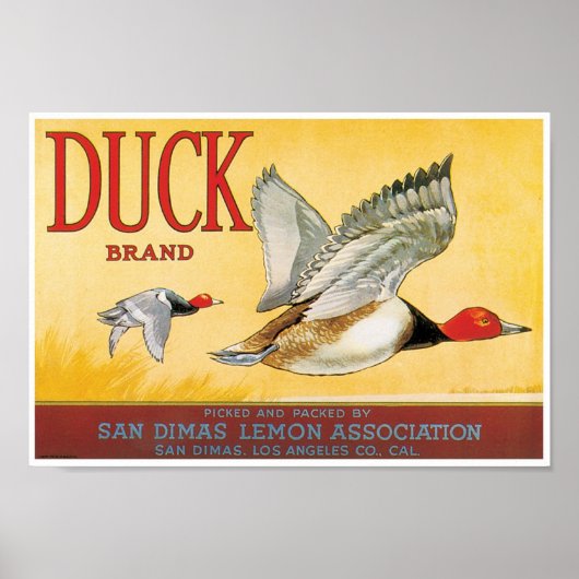 Duck Lemon San Dimas Los Angeles Landkreis Kalifor Poster (Vorne)