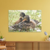 Duck Love Leinwanddruck (Insitu (Wohnzimmer))