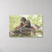 Duck Love Leinwanddruck (Vorderseite)