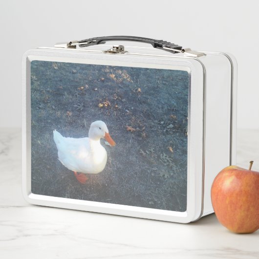 Duck Lunch Box (Beispiel)