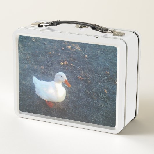 Duck Lunch Box (Rückseite)
