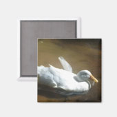 Duck Magnet (Vorderseite/Rückseite)