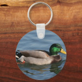 Duck Male Mallard Schlüsselanhänger (Vorderseite)