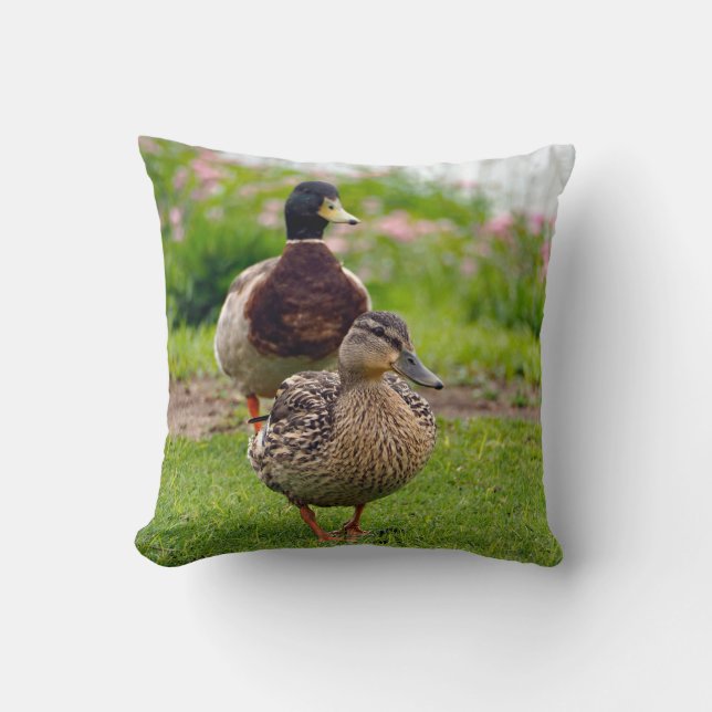 Duck Mallard Pair Kissen (Vorderseite)