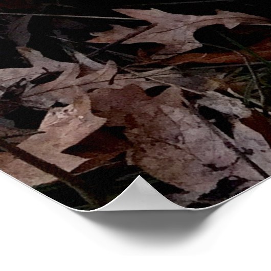 Duck Missile auf dem Launch Pad Poster (Ecke)