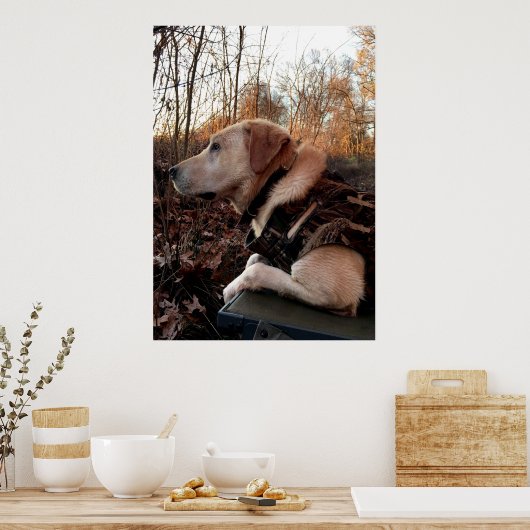 Duck Missile auf dem Launch Pad Poster (Küche)