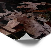 Duck Missile auf dem Startfeld Poster (Ecke)