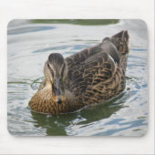 Duck Mousepad (Vorne)