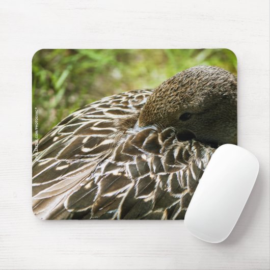 Duck Mousepad (Mit Mouse)