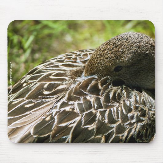 Duck Mousepad (Vorne)