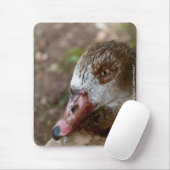 Duck Mousepad (Mit Mouse)