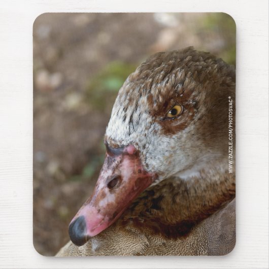 Duck Mousepad (Vorne)
