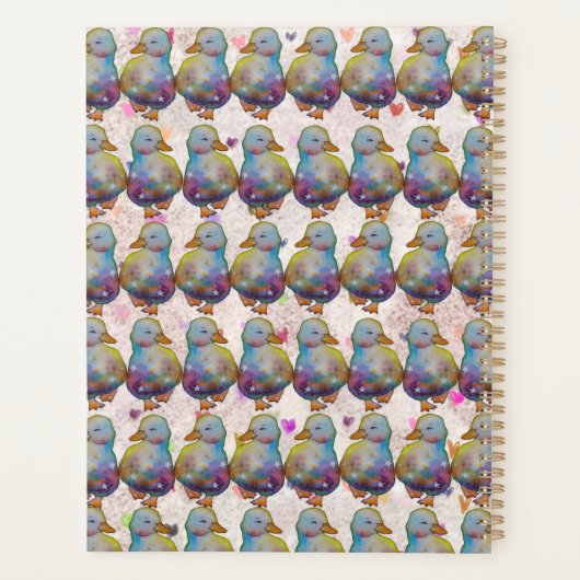 Duck named Rainbow Planer (Rückseite)