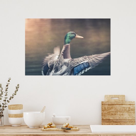 Duck Nature Foto Poster (Küche)