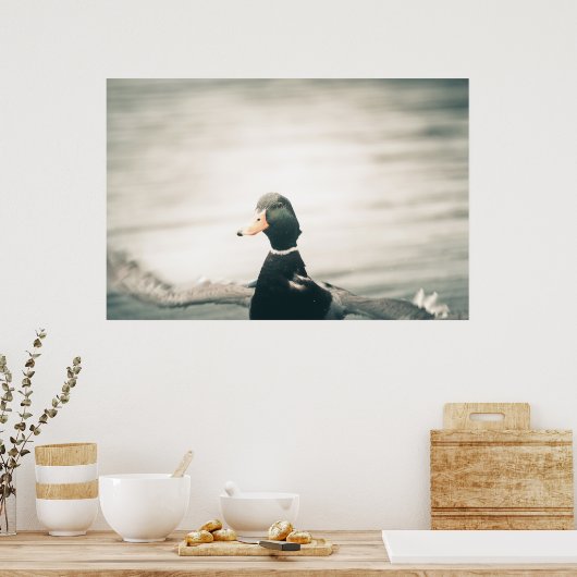 Duck Nature Foto Poster (Küche)