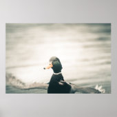 Duck Nature Foto Poster (Vorne)