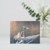 Duck Nature Photo Postkarte (Stehend Vorderseite)