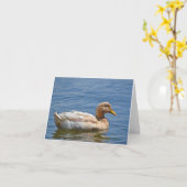 Duck Notecard Karte (Gelbe Blume)