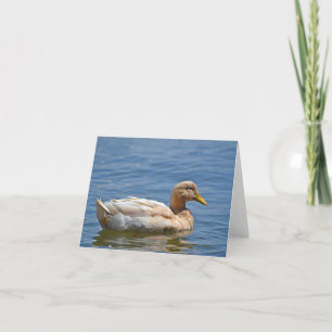 Duck Notecard Karte