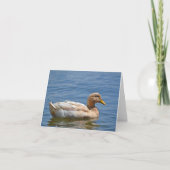 Duck Notecard Karte (Vorderseite)