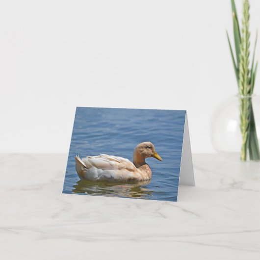 Duck Notecard Karte (Vorderseite)
