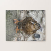 Duck on a Wall Puzzle (Horizontal)