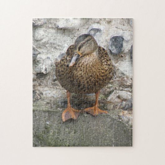 Duck on a Wall Puzzle (Vertikal)