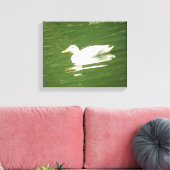 Duck on Water Canvas Print Leinwanddruck (Insitu (Wohnzimmer))