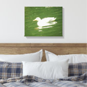 Duck on Water Canvas Print Leinwanddruck (Insitu (Schlafzimmer))