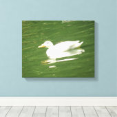 Duck on Water Canvas Print Leinwanddruck (Insitu (Holzboden))