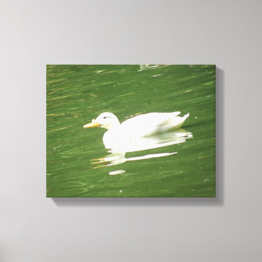 Duck on Water Canvas Print Leinwanddruck (Vorderseite)