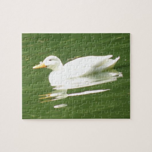 Duck on Water Puzzle (Horizontal)
