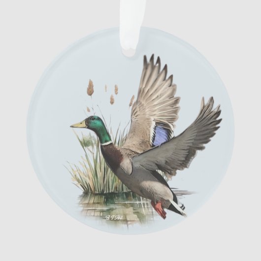 Duck Ornament (Vorderseite)