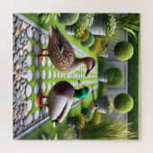 Duck Paradise Puzzle (Horizontal)