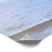 Duck Photo Poster (Ecke)