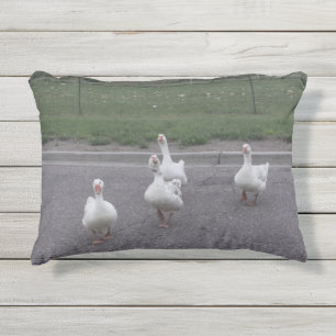 Duck Pillow Kissen Für Draußen
