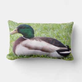 Duck Pillow Lendenkissen