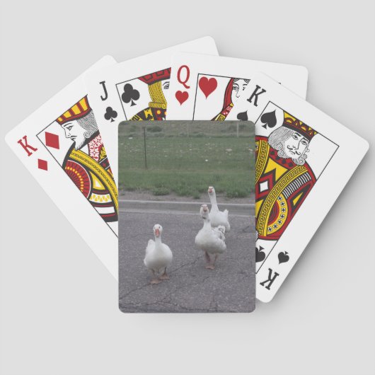 Duck Playing Cards Spielkarten (Rückseite)